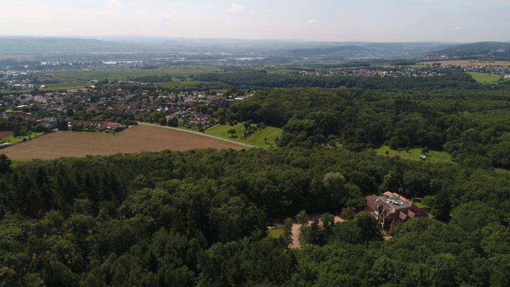 Hotel Neugebauer Am Rheinsteig Geisenheim Exterior foto